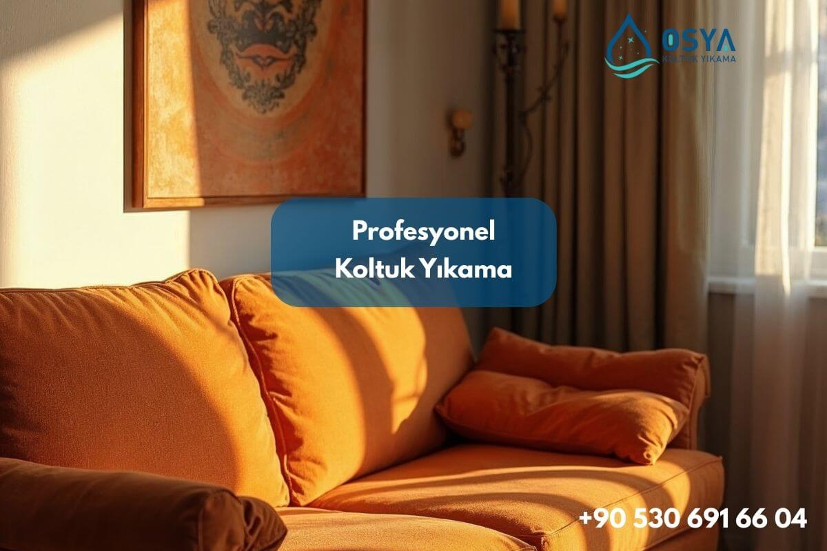 Bursa’da Koltuk Yıkama Öncesi–Sonrası: Gerçek Vaka, Kumaş Rehberi ve Evde Yapılan 7 Hata