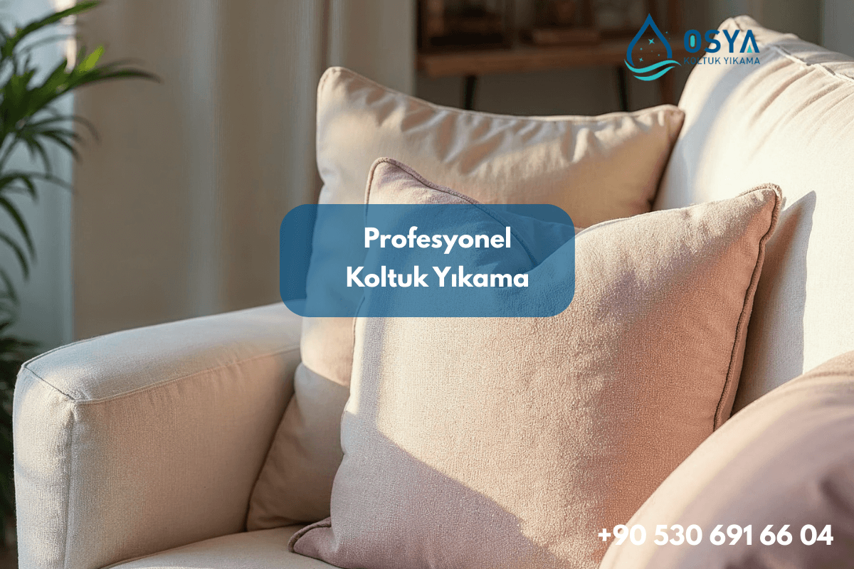 Görükle Koltuk Yıkama ve Temizleme Hizmeti: Bursa’da Yerinde Profesyonel Çözüm