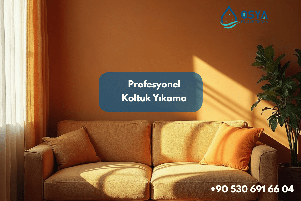 Nilüfer Koltuk Yıkama: Yerinde, Buharlı ve Hijyen Odaklı Profesyonel Temizlik