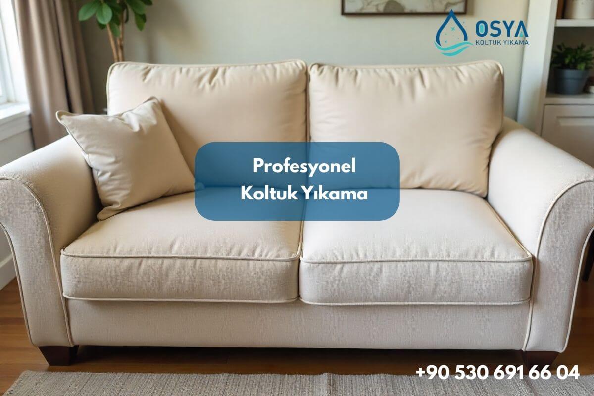 Görükle’de En İyi Koltuk Yıkama Hizmeti | Fiyat ve Yöntem Detayları