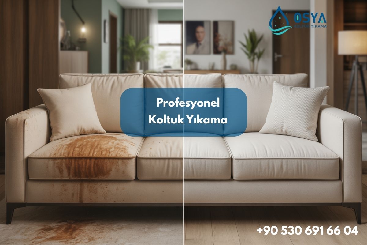 Nilüfer Koltuk Yıkama Hizmeti: Bursa’da Profesyonel Temizlik ve Derin Hijyen