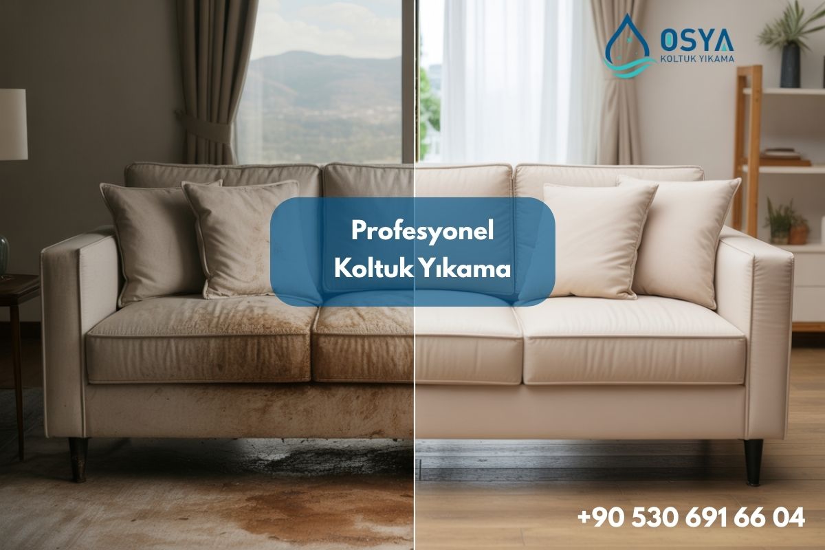 Görükle Koltuk Temizleme Rehberi: Profesyonel Yıkama, Leke Çıkarma ve Bakım İpuçları