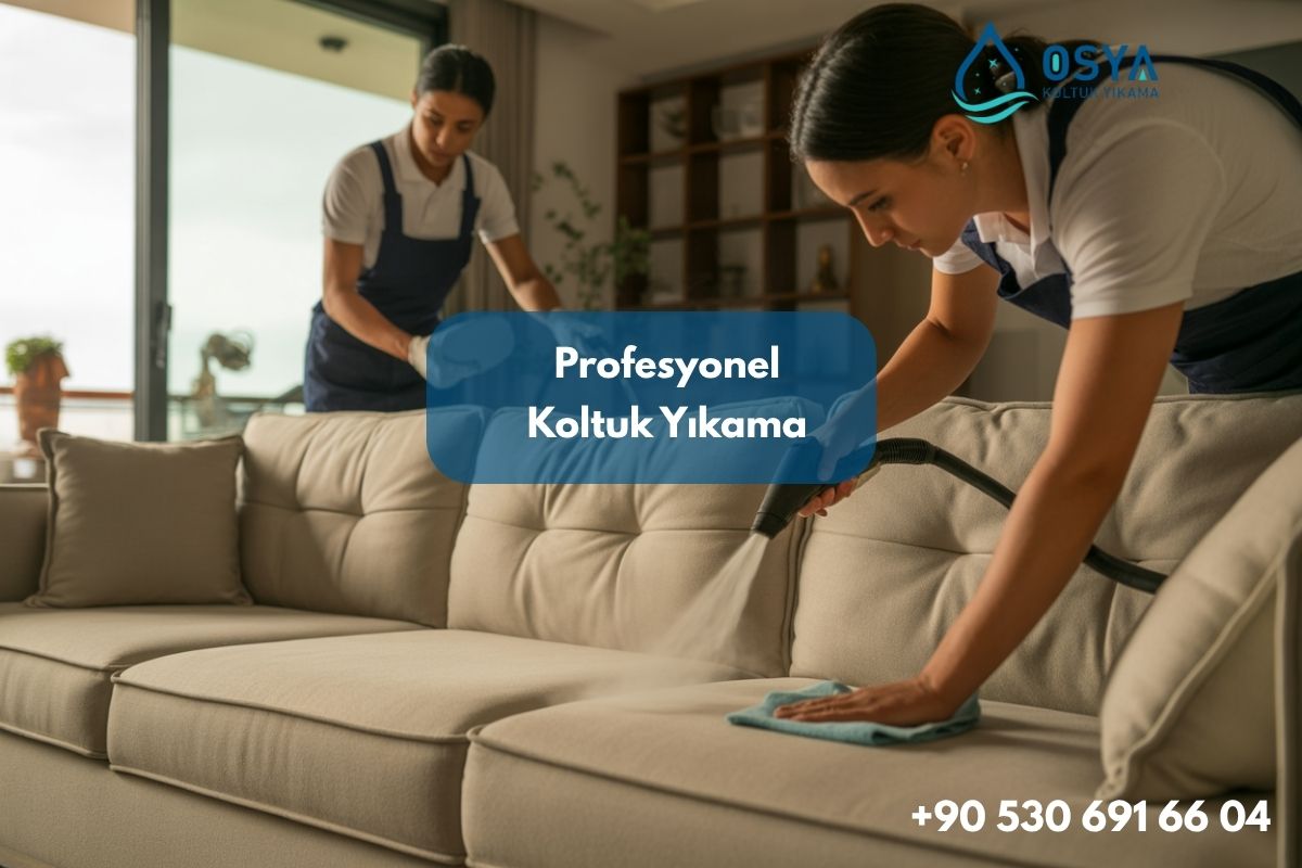 Nilüfer Koltuk Yıkama ve Temizleme | Profesyonel Ekip ile Derin Hijyen